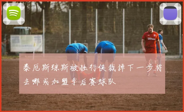 泰厄斯琼斯被独行侠裁掉下一步将去哪或加盟季后赛球队